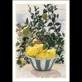Lemons by Robert O'Rorke